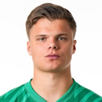 Рои Джоханнес Мариа Стеур